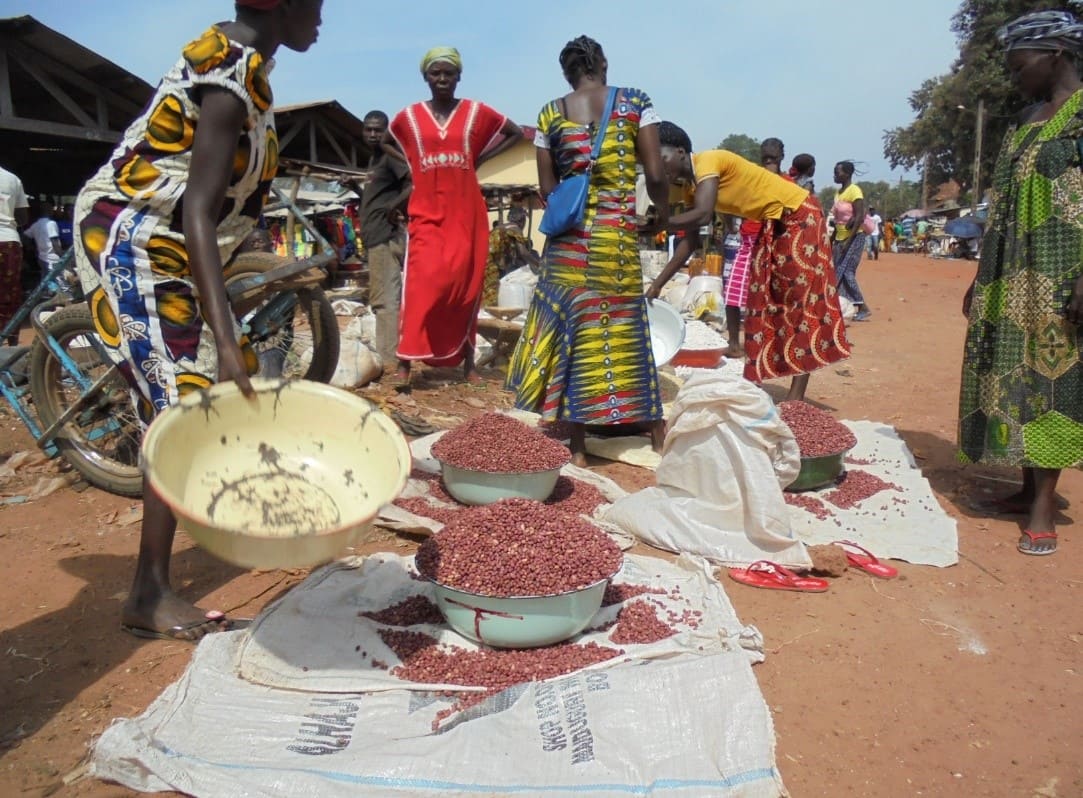 Centrafrique Action contre la Faim